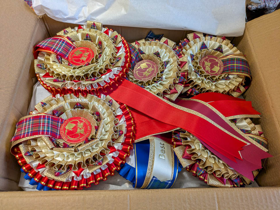 Rosettes in their box